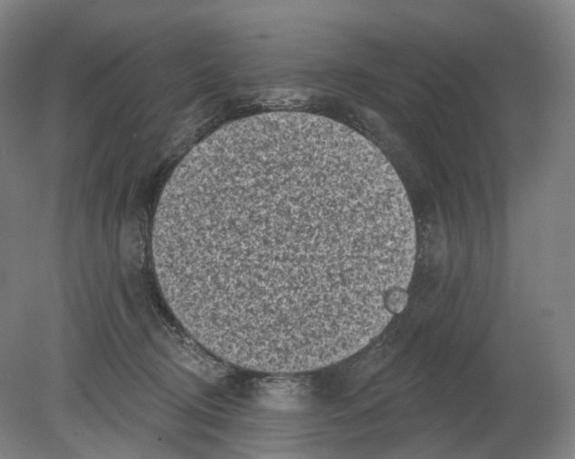 X0000080180370200701051703