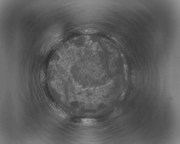 X0000080180371200701051703