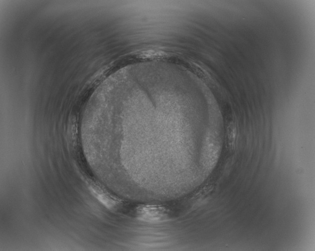 X0000080180372200701051703