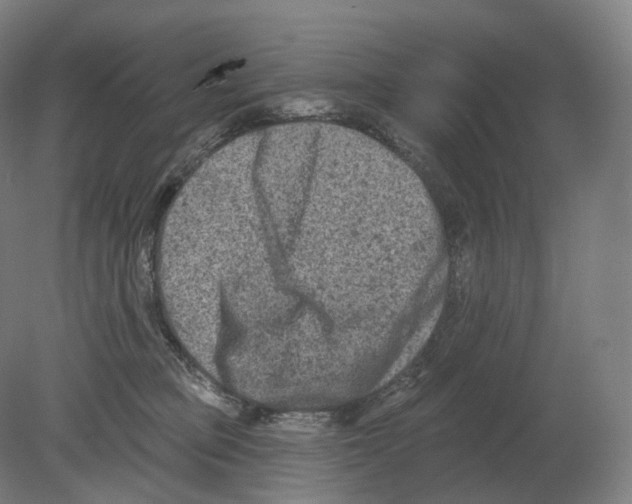 X0000080180373200701051703