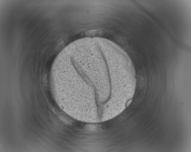 X0000080180375200701051703