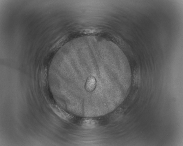 X0000080180376200701051703