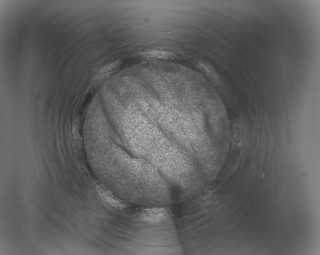 X0000080180377200701051703