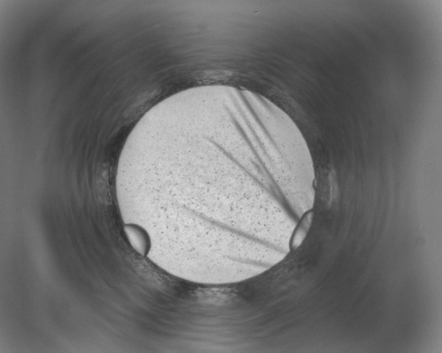 X0000080180378200701051703