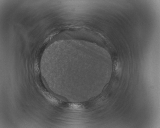 X0000080180380200701051703