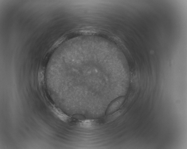 X0000080180382200701051703