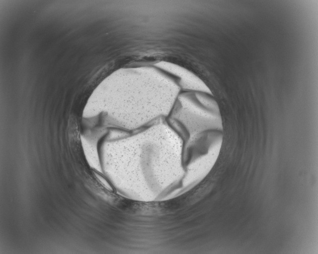 X0000080180384200701051703