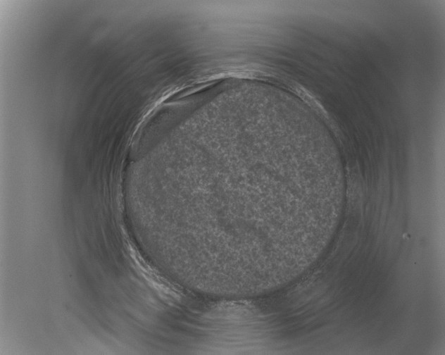 X0000080180386200701051703