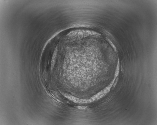 X0000080180388200701051702