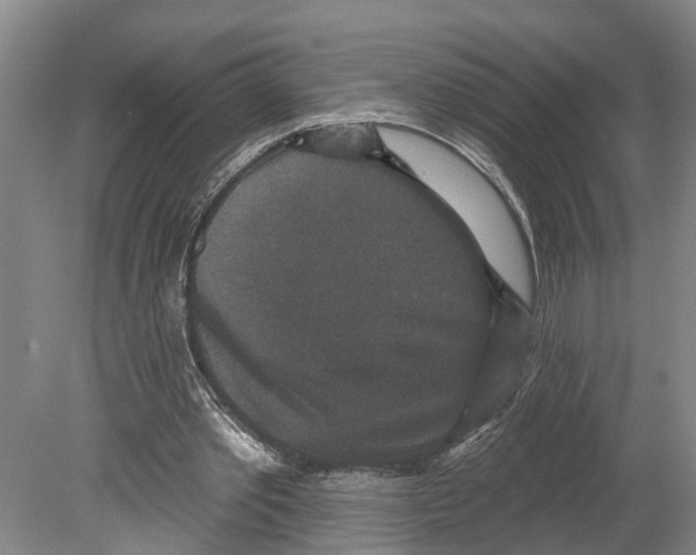 X0000080180389200701051702