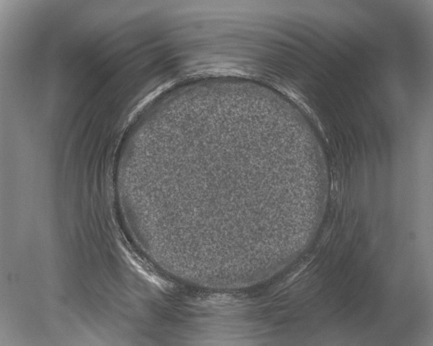 X0000080180390200701051702