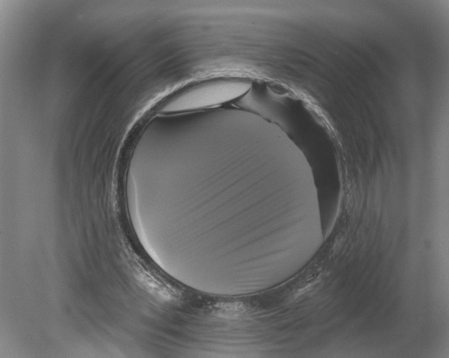 X0000080180391200701051702