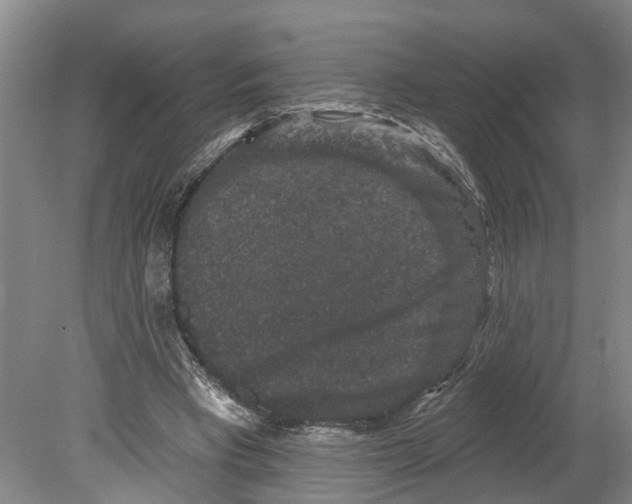 X0000080180393200701051702