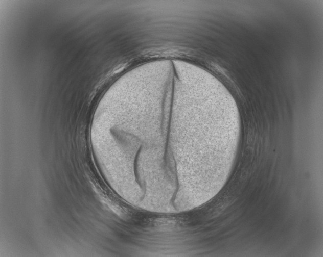 X0000080180394200701051702