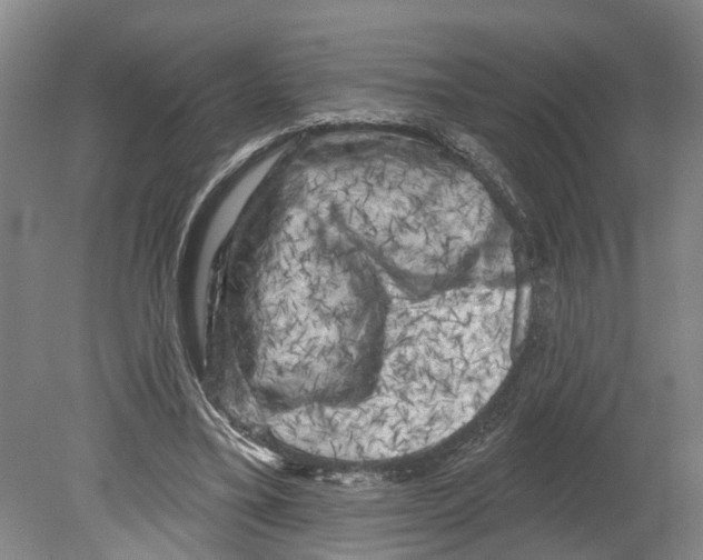 X0000080180395200701051702