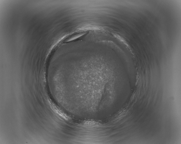 X0000080180399200701051702