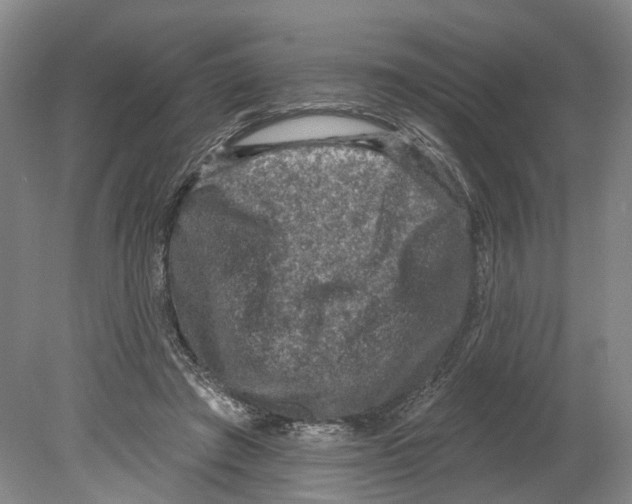 X0000080180401200701051702