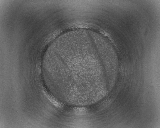 X0000080180402200701051702