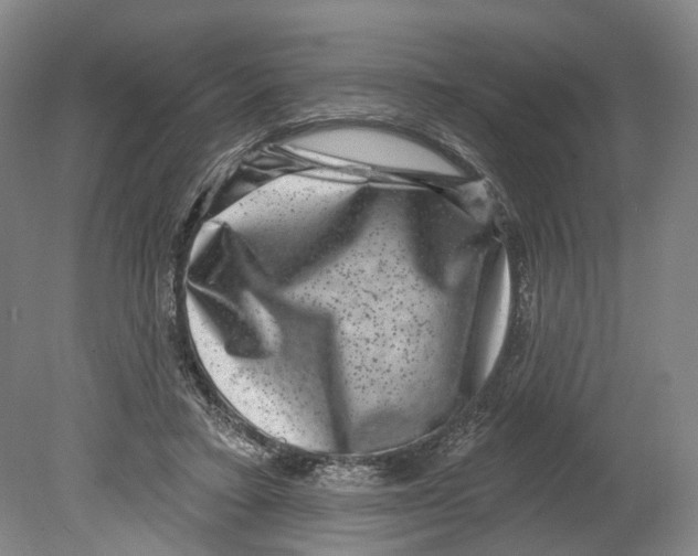 X0000080180403200701051702