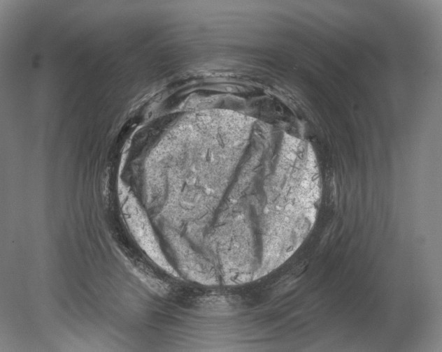 X0000080180404200701051702