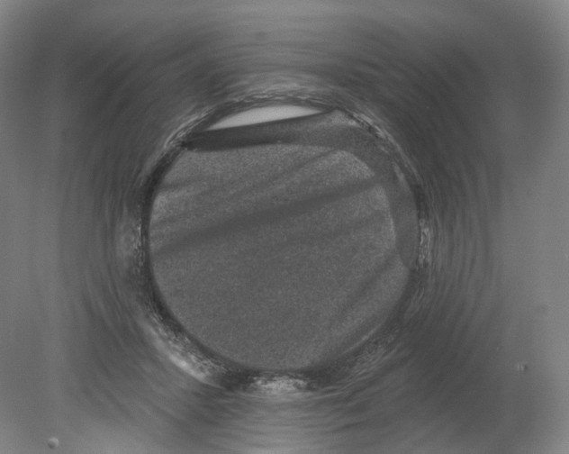 X0000080180407200701051702