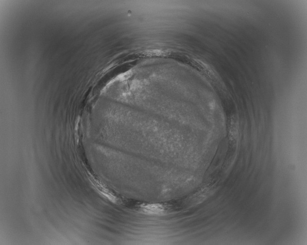 X0000080180409200701051702