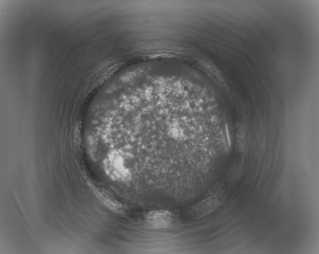 X0000080180410200701051702