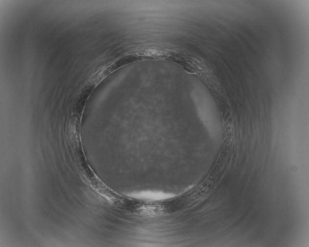 X0000080180415200701051702