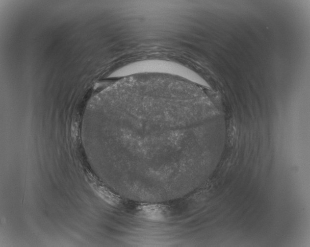 X0000080180417200701051702