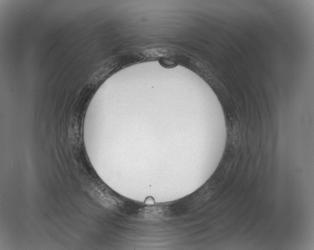 X0000080180418200701051702