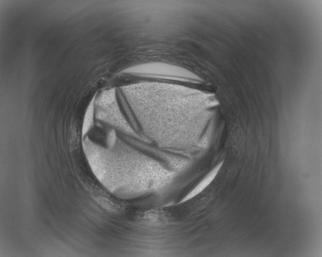 X0000080180420200701051702