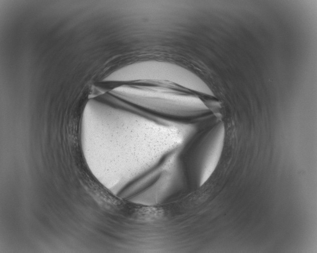 X0000080180421200701051702