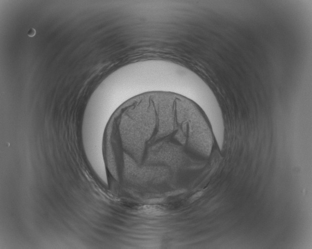 X0000080180423200701051702