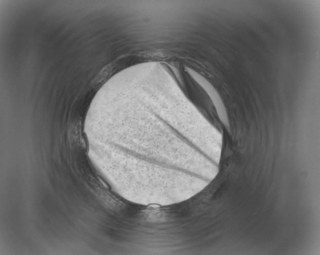 X0000080180425200701051702