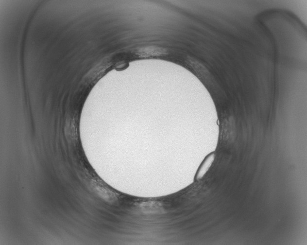 X0000080180426200701051702