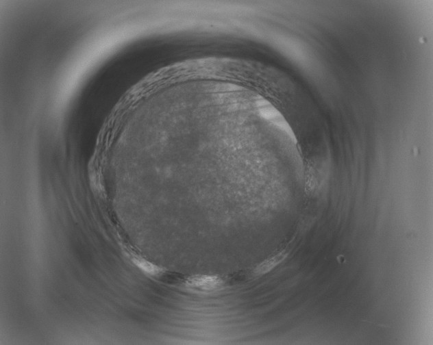 X0000080180431200701051702