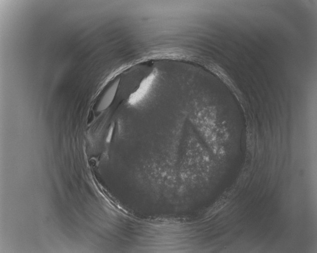 X0000080180434200701051701