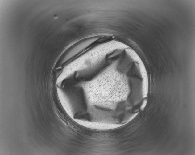 X0000080180435200701051701