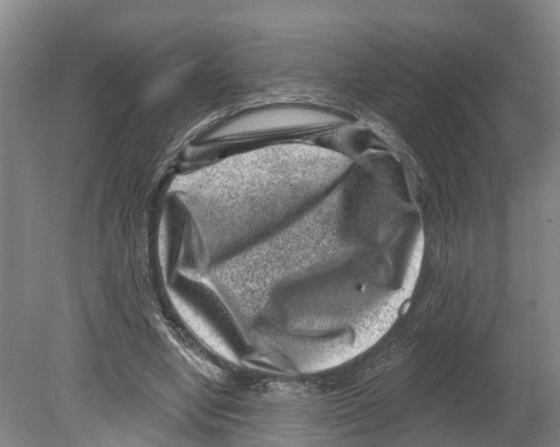 X0000080180442200701051701