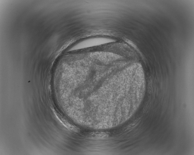 X0000080180443200701051701