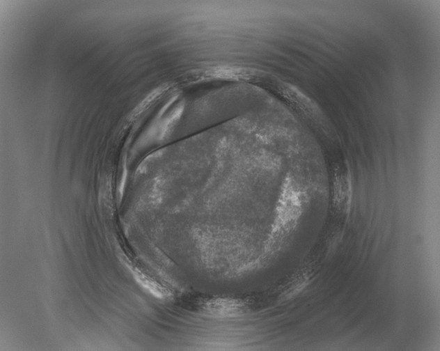 X0000080180444200701051701