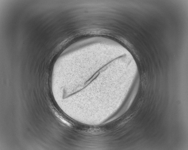 X0000080180445200701051701