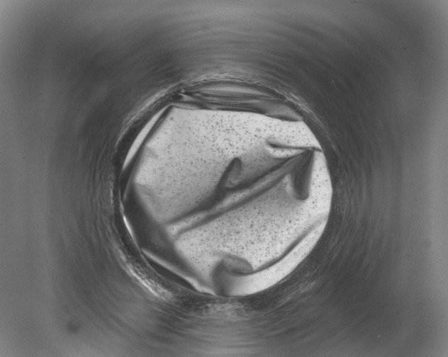 X0000080180446200701051701