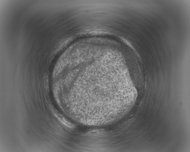 X0000080180447200701051701