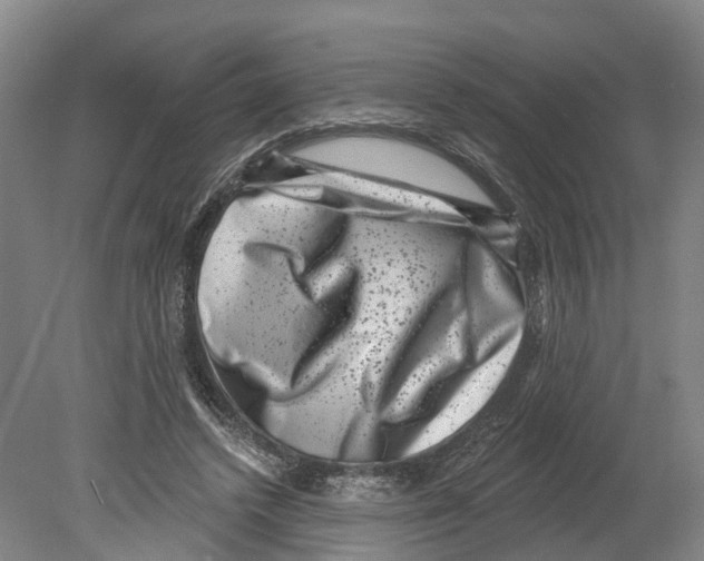 X0000080180448200701051701