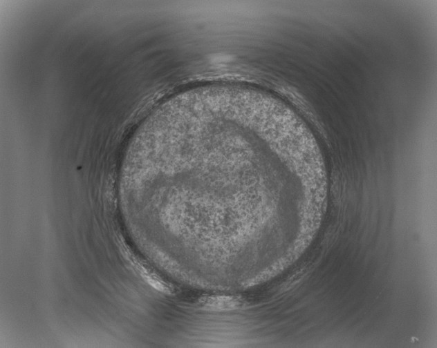 X0000080180449200701051701