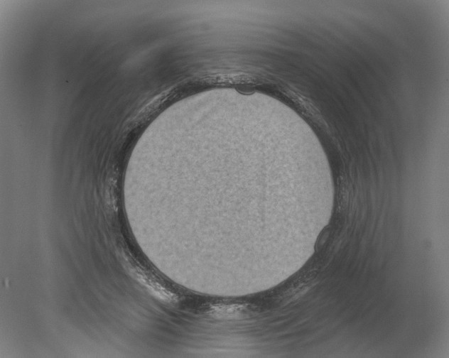 X0000080180450200701051701