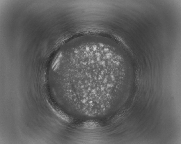 X0000080180451200701051701