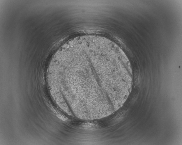 X0000080180453200701051701