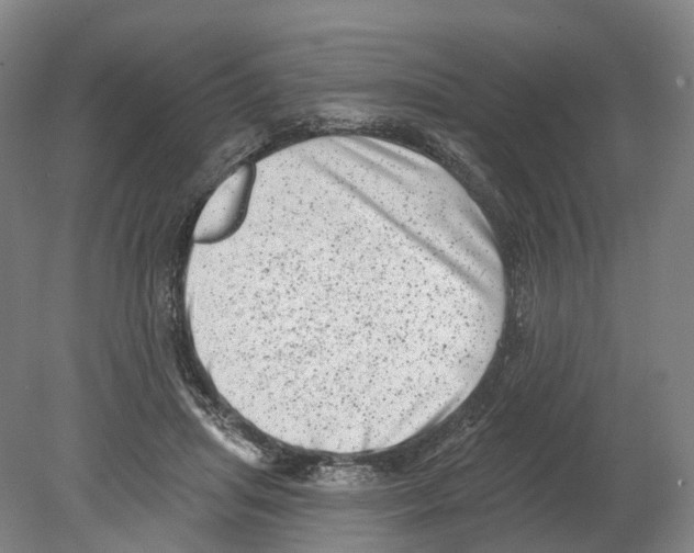 X0000080180455200701051701